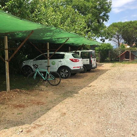 Agriturismo Il Podere Vedelago Con San Bernardo, Alpaca E Una Pentola Di Cose Da Scoprire Exterior photo
