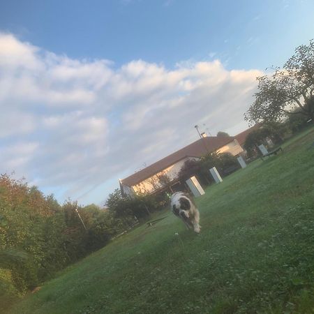 Agriturismo Il Podere Vedelago Con San Bernardo, Alpaca E Una Pentola Di Cose Da Scoprire Exterior photo