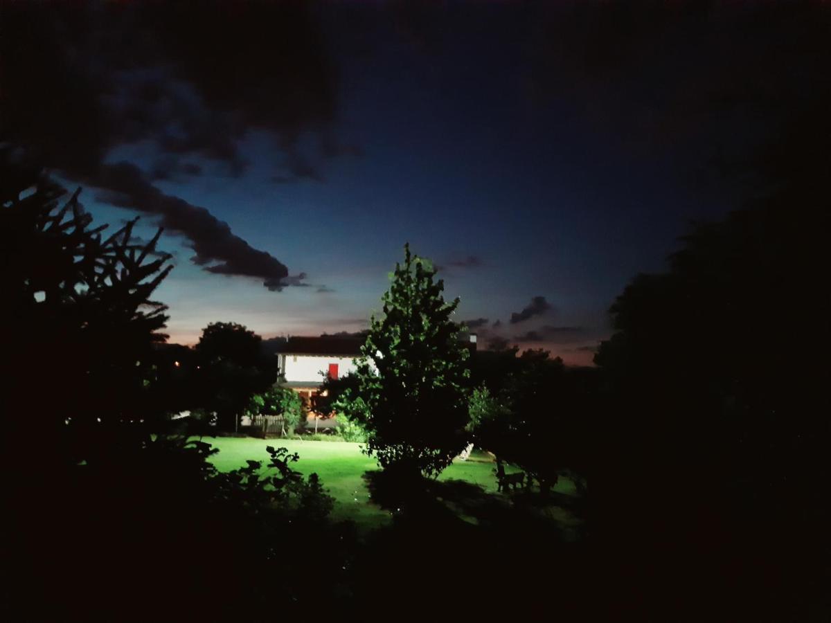 Agriturismo Il Podere Vedelago Con San Bernardo, Alpaca E Una Pentola Di Cose Da Scoprire Exterior photo