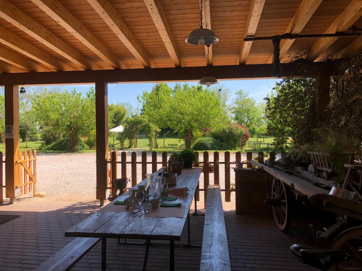 Agriturismo Il Podere Vedelago Con San Bernardo, Alpaca E Una Pentola Di Cose Da Scoprire Exterior photo