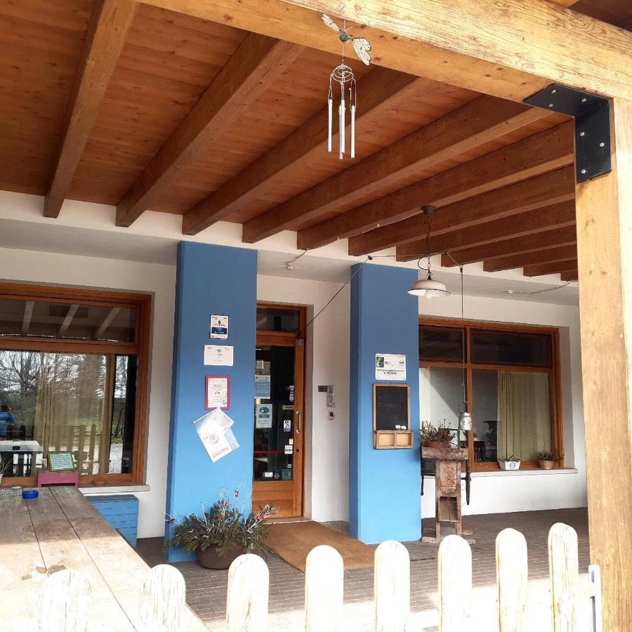 Agriturismo Il Podere Vedelago Con San Bernardo, Alpaca E Una Pentola Di Cose Da Scoprire Exterior photo