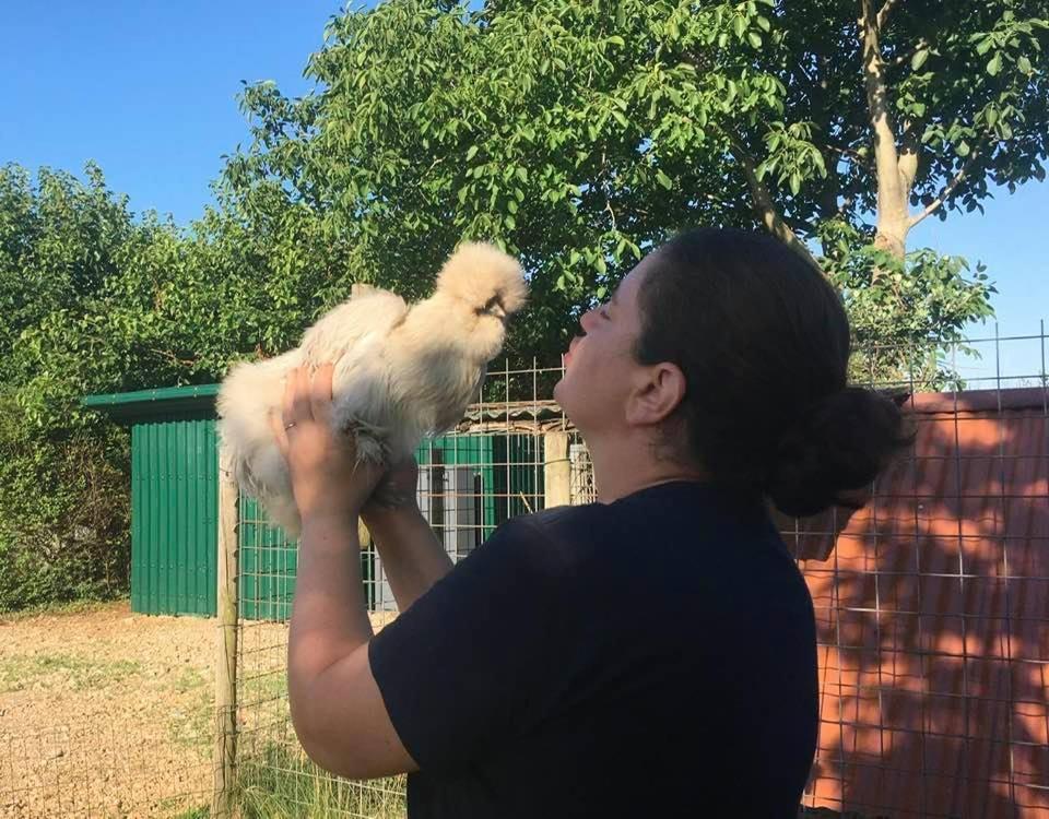 Agriturismo Il Podere Vedelago Con San Bernardo, Alpaca E Una Pentola Di Cose Da Scoprire Exterior photo