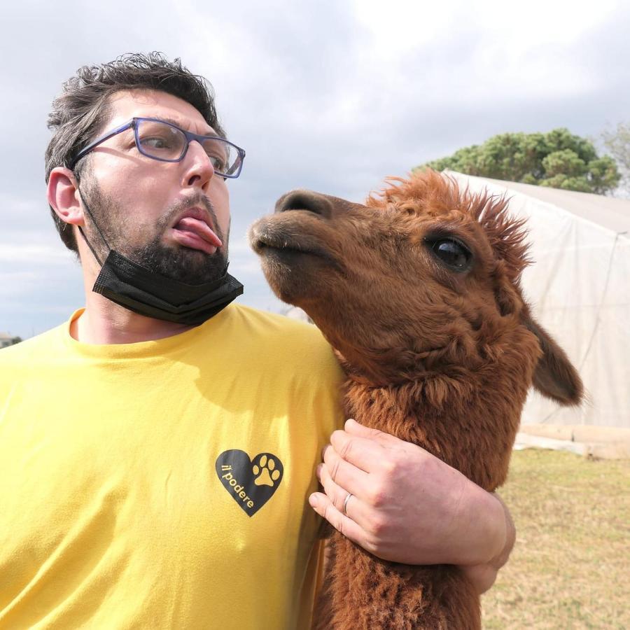 Agriturismo Il Podere Vedelago Con San Bernardo, Alpaca E Una Pentola Di Cose Da Scoprire Exterior photo