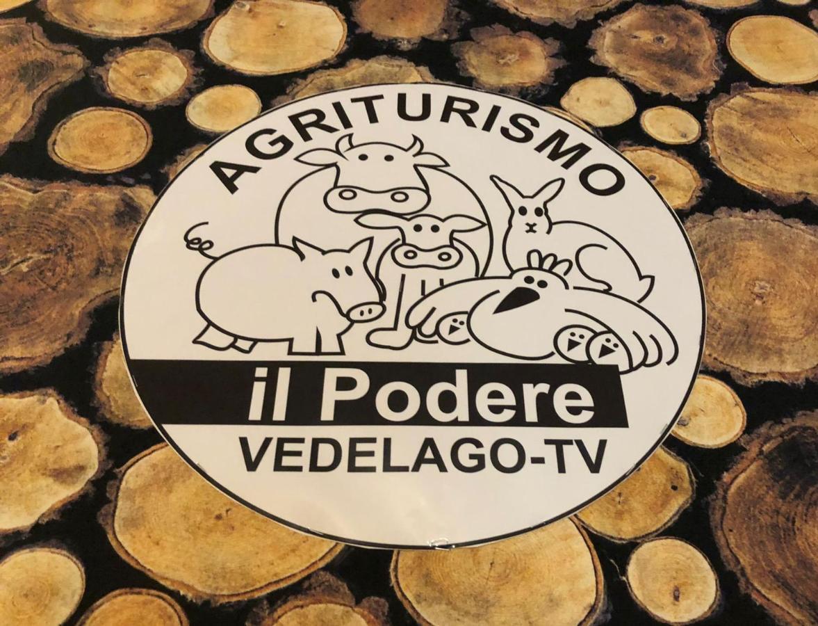 Agriturismo Il Podere Vedelago Con San Bernardo, Alpaca E Una Pentola Di Cose Da Scoprire Exterior photo