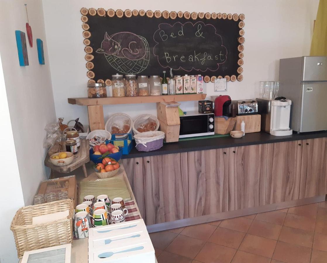 Agriturismo Il Podere Vedelago Con San Bernardo, Alpaca E Una Pentola Di Cose Da Scoprire Exterior photo