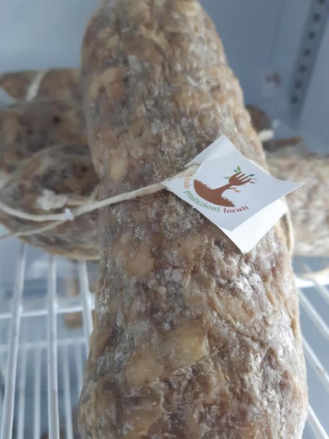 Agriturismo Il Podere Vedelago Con San Bernardo, Alpaca E Una Pentola Di Cose Da Scoprire Exterior photo