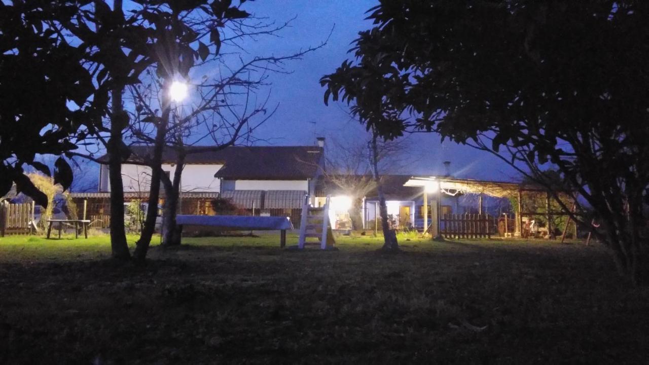 Agriturismo Il Podere Vedelago Con San Bernardo, Alpaca E Una Pentola Di Cose Da Scoprire Exterior photo
