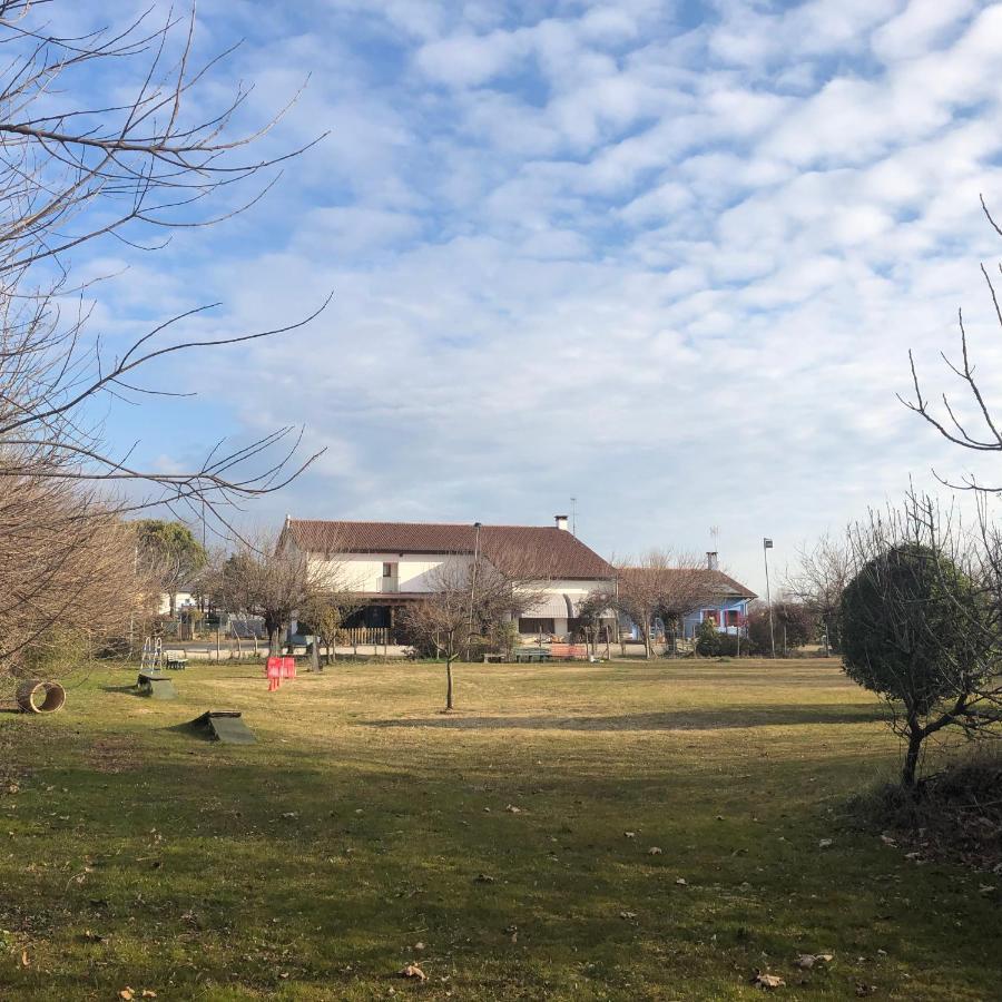 Agriturismo Il Podere Vedelago Con San Bernardo, Alpaca E Una Pentola Di Cose Da Scoprire Exterior photo