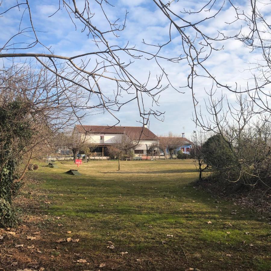 Agriturismo Il Podere Vedelago Con San Bernardo, Alpaca E Una Pentola Di Cose Da Scoprire Exterior photo