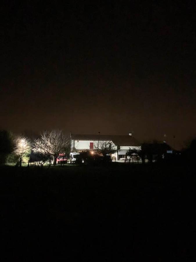 Agriturismo Il Podere Vedelago Con San Bernardo, Alpaca E Una Pentola Di Cose Da Scoprire Exterior photo