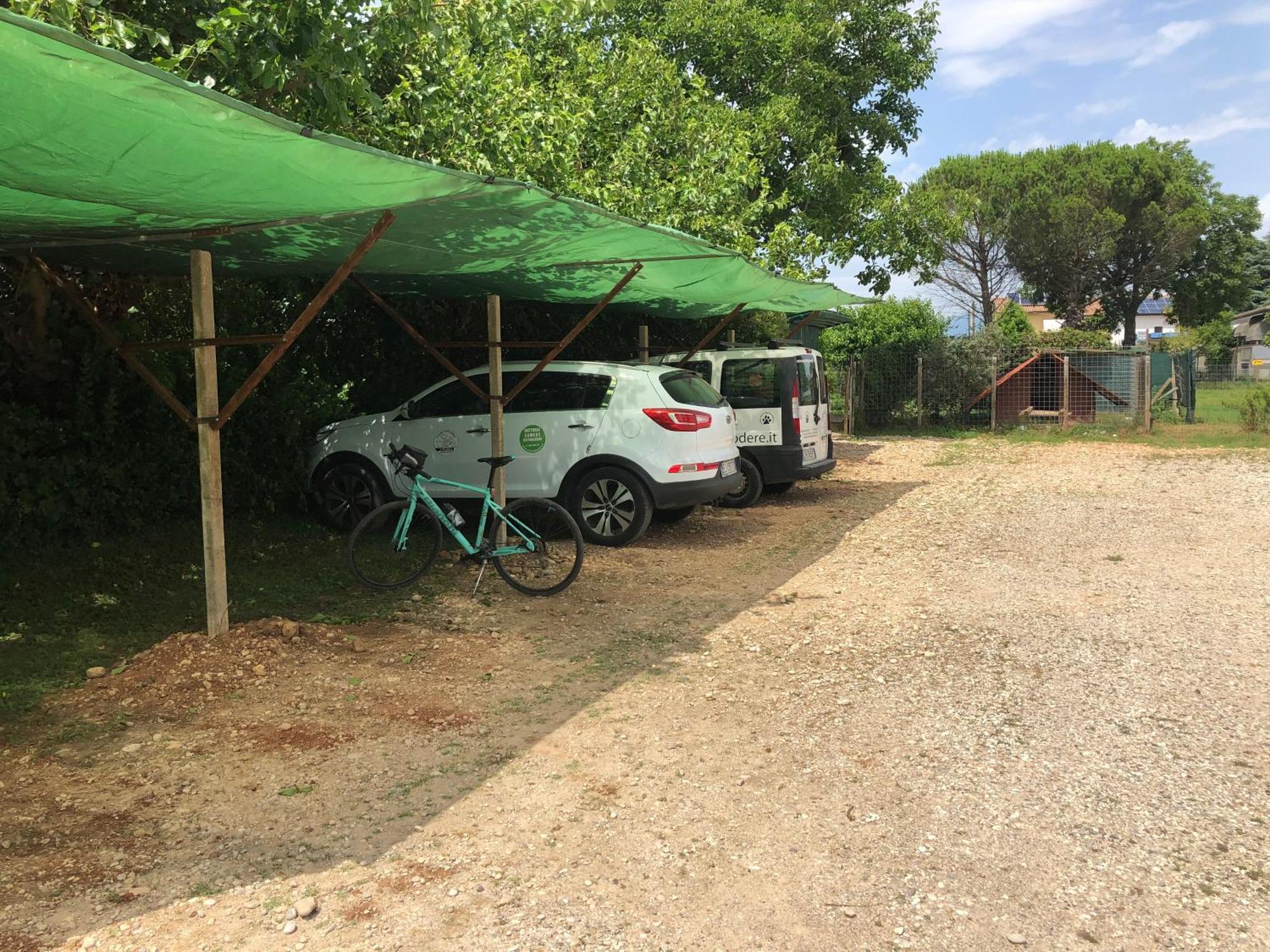 Agriturismo Il Podere Vedelago Con San Bernardo, Alpaca E Una Pentola Di Cose Da Scoprire Exterior photo