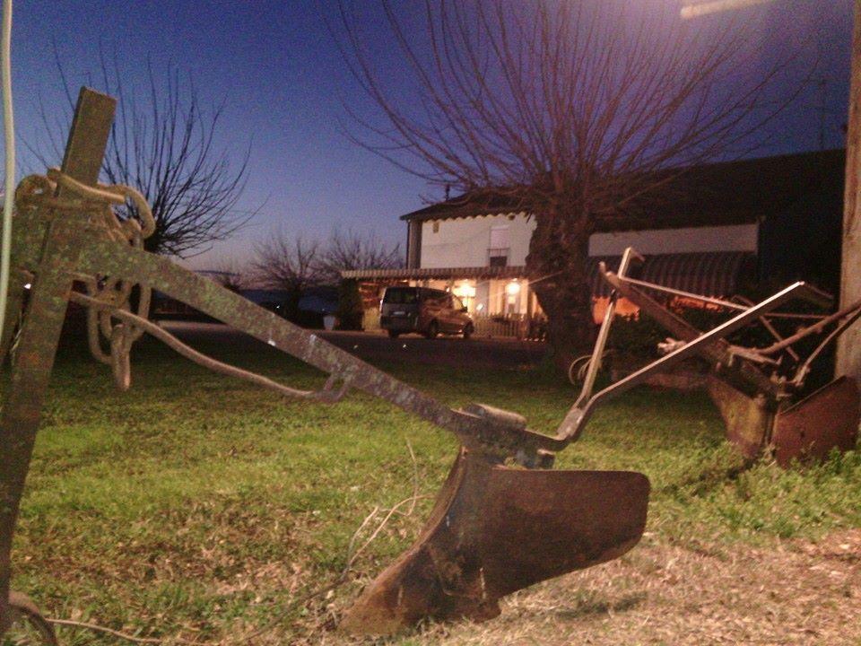 Agriturismo Il Podere Vedelago Con San Bernardo, Alpaca E Una Pentola Di Cose Da Scoprire Exterior photo