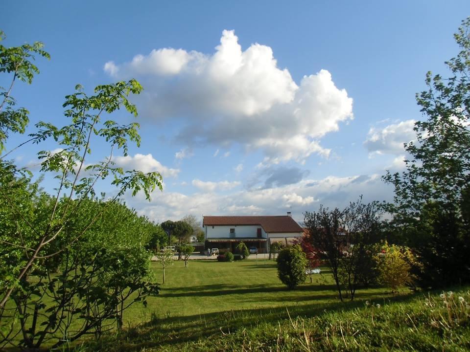 Agriturismo Il Podere Vedelago Con San Bernardo, Alpaca E Una Pentola Di Cose Da Scoprire Exterior photo