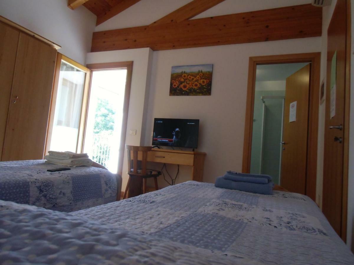 Agriturismo Il Podere Vedelago Con San Bernardo, Alpaca E Una Pentola Di Cose Da Scoprire Exterior photo